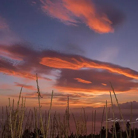 Apartament Martinho View